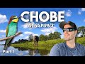 We visit Chobe National Park in Summer! Part 1