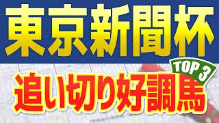 【東京新聞杯2023】追い切り・調教が好評価だった「トップ3」はこの馬だ🐴 一週前と最終追い切り、馬体映像からシュミレーション ～JRA競馬予想～