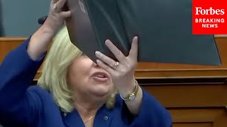 'Let Me Show You That!': Debbie Lesko Brings Receipts To Quash Dem Accusations Of 'Disinformation'