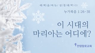 20241224 새벽을 여는 성경 대학 : 성탄 묵상(1)