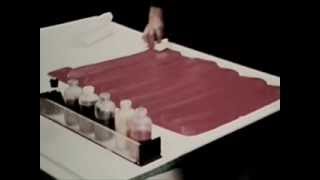 Maps And Mapmaking: The Mapmaking Process - 1973 - CharlieDeanArchives / Archival Footage