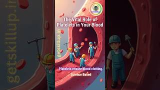 The Vital Role of Platelets in your Blood #shorts #facts