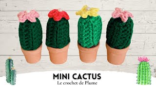 Mini Cactus au crochet - Tutoriel en français - Explications en pas à pas