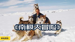 【南极大冒险】雪橇犬175天绝境求生，原地等待主人救援『以不同的視角解讀一部電影，帶你瞭解電影更深層的含義和秘密』#電影解說#熱門電影#血腥#恐怖#驚悚懸疑#催淚#真實事件改編