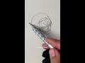 draw gol d. roger short draw anime drawingtutorial