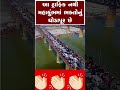 1 ફેબ્રુઆરી 2025 kishorkateshiya