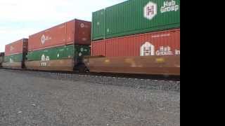 UP 7790 mixed intermodal south [HD]