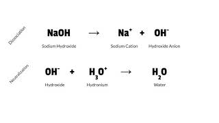 Sodium Benzoate Anthony Visco Kyle Freedman