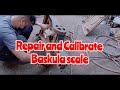 Baskula Calibrate and Repair #baksula # scale