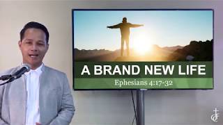 A Brand New Life (June 28 Sermon)