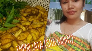 Simple Bodo Dish Empow lata jwng Nwrsing Bilai | Lapa Mwidru for dinner| @Bajwis Vlog