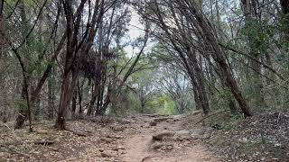 Morning Trail Birds Nature Sounds for Relaxed, Restful, Positive, and Productive Day