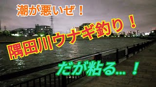 潮がよくない隅田川ウナギ釣り！