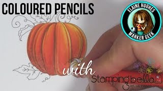 Coloured Pencil Colouring a Pumpkin Stamp from Stamping Bella