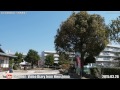 広島の神社仏閣 観音神社 2015.03.26 hiroshima shrines and temples kannon shrine hiroshima city japan