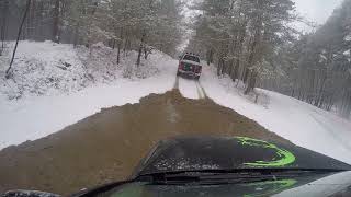 VW AMAROK IN FURSTEN FOREST