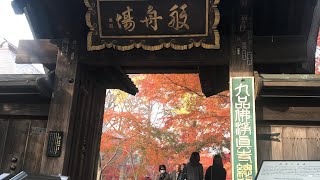 九品仏 浄真寺 KUHONBUTSU JOSHINJI-JI TEMPLE