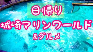 【城崎】【水族館】城崎マリンワールドで気になってたドーナツ水槽満喫！！！