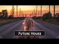 Ultimate Old School Future House Mix