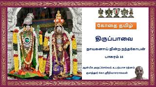 திருப்பாவை - நாயகனாய் நின்ற நந்தகோபன் - பாசுரம் 16 || குளத்தூர் கோ.ஸ்ரீநிவாசராகவன்