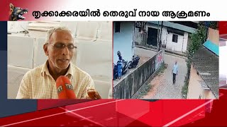 പ്രഭാത സവാരിക്കിടെ 12 പേര്‍ക്ക് തെരുവുനായയുടെ കടിയേറ്റു | Mathrubhumi News