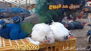 رحبة الدجاج بلدي وسلالت 17/11/2024 من سوق حد البروج مع اثمنة 🦃🐔🐓🦚