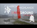 One Ground | Camping | Cameron Highlands | Golden Hills