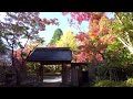 4k 湯布院　金鱗湖 u0026亀の井別荘付近の紅葉　朝霧 後半にかけて綺麗な映像）九州紅葉名所　 60fps dji pocket2 pocket3発売楽しみですが現行モデルも優秀です　大分絶景スポット