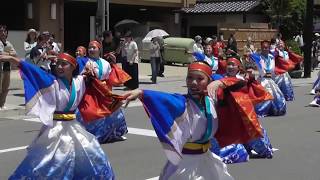 『加賀屋エストヴァンズ』　大賞演舞　能登よさこい祭り２０１７