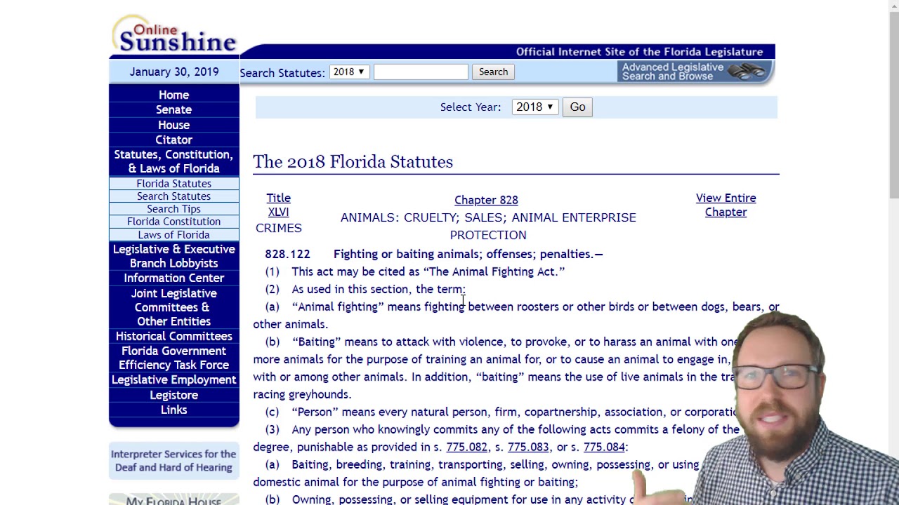 Florida Statutes 2024 - Eilis Harlene