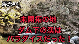 【渓流#4】雪と土砂崩れの先のダム下に行くとパラダイスだった！？渓流ベイトフィネス