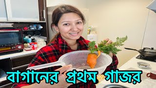 শীত হোক আর গরম।নিজের বাগানে কাজ করতে অন‍্যরকম একটা ভালো লাগা কাজ করে/Mereline Vlogz 273