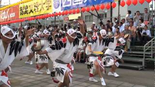 さゝ連＠南内町演舞場　～2011.8.12　徳島市阿波おどり～