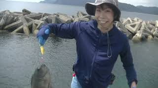 【にごりの素・スポンジで魚釣り】南伊勢田曽浦編　【ぽんこつ釣りガールズ】