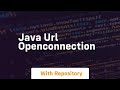 java url openconnection