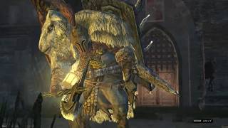 【DDON】ウォーミッション「獣の将出現Ver」(ちょっとエフェクトがキツめです)