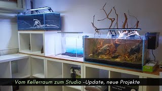 Kellerstudio Update, Kallax Becken Tag 10 und neue Projekte in der Planung #aquaristik