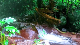 River flowing over rocks in the mountains, Relaxing Nature Sounds for Sleeping, meditation, study