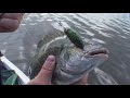 Swan River Fishing , Fishing WA Series 3 Ep 10 Part 1