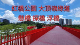 深圳 紅橋公園 大頂嶺綠道  懸橋 探橋 浮橋