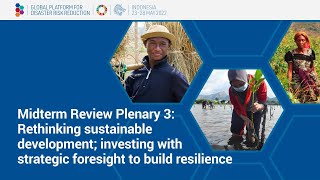 Midterm Review Plenary 3: Rethinking sustainable development; investing with strategic foresight