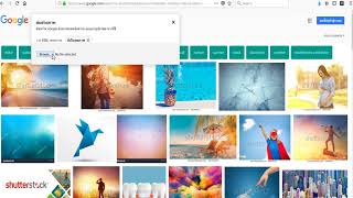 วิธีหาภาพ Shutterstock ที่เราขายได้ ถูกนำไปใช้เว็บไซต์ไหน