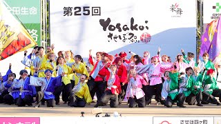 [4K] 長崎県立大学リズム戦隊メロディアス 【セミファイナル演舞】　YOSAKOIさせぼ祭り 2023 日曜日 (中央)