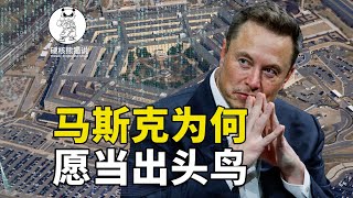 要调查黄金储备？马斯克为什么甘愿被当枪使？#科学教育 #科普知识 #科学普及