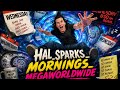 HAL_SPARKS_MORINGS_MEGAWORLDWIDE : CLIFF_SCHECTER_AND_PHILIP_ITTNER