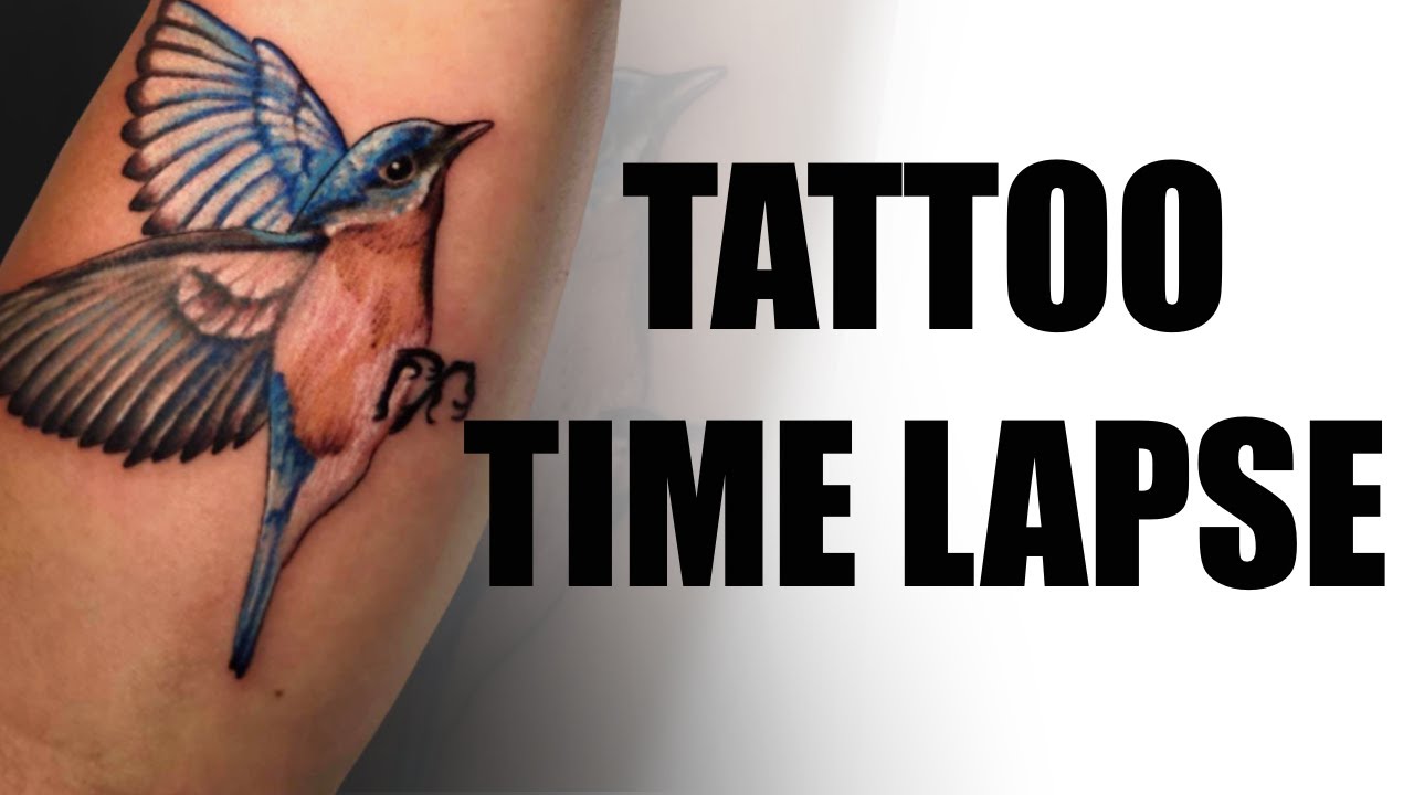 Tattoo Time Lapse Blue Bird Coloured Realism Tattoo Youtube