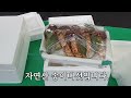 새단장 마석 오일장 멍멍이가 반한 이맛은