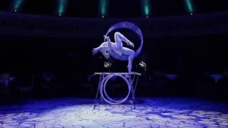 Ekaterina Sheludyakova Hula Hoop Act 2016 PROMO video