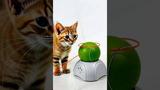 Cat toys Automatic Cat Chaser Toys, Interactive Catch Exercise Toys for Indoor Cats/Kitty/Dogs,