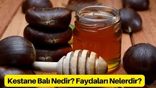 Kestane Balı Nedir? Kestane Balı Faydaları Nelerdir?